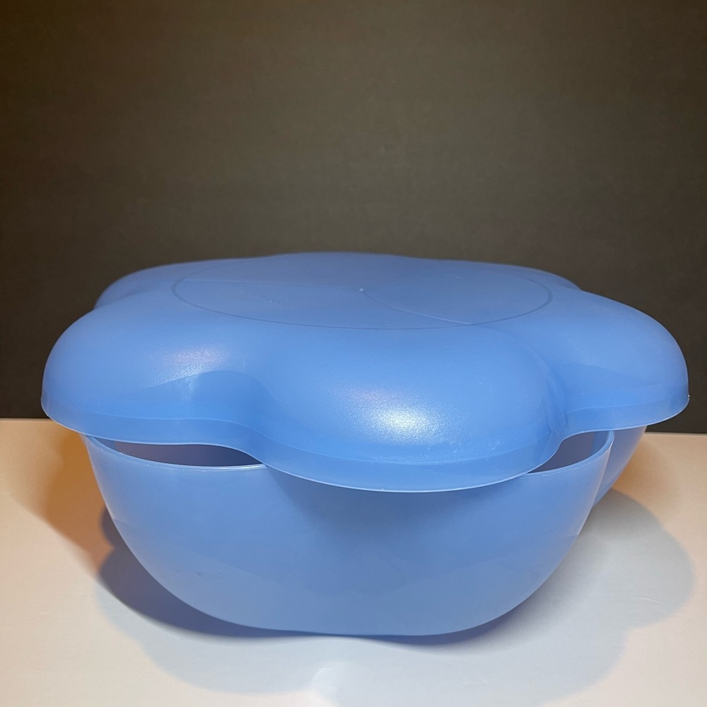 Tupperware Chip and Dip platter bowl dish plate